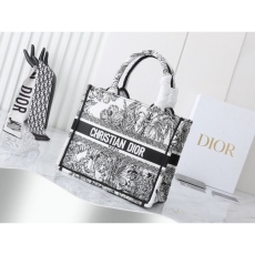 Christian Dior Shopping Bags